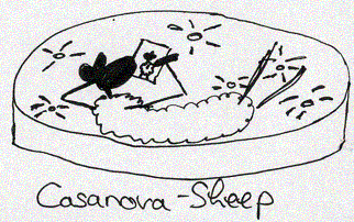 Bild: casanova-sheep