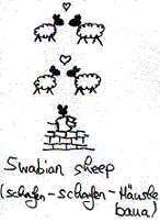 Bild: Swabian sheep