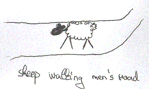 Bild: sheep walking men's road